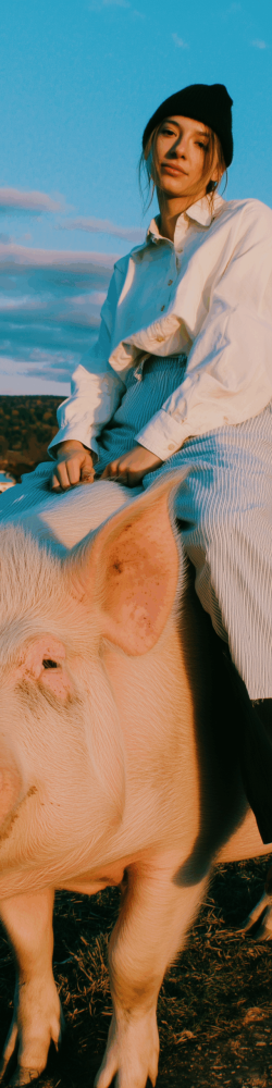 temp_image_9E23127A-6662-4F24-94E9-4451889858BB